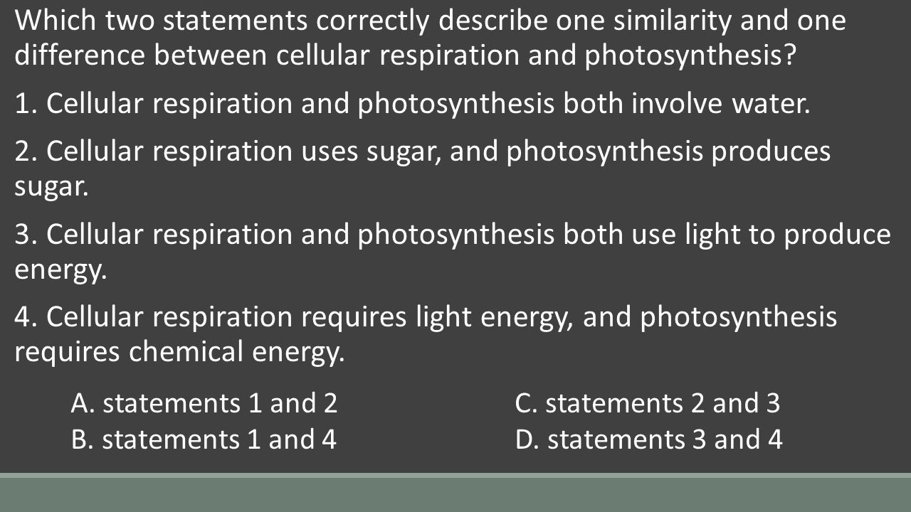6 describe the similarities and differences between photosynthesis and cell respiration 6 describe the similarities and differences between photosynthesis and cell respiration