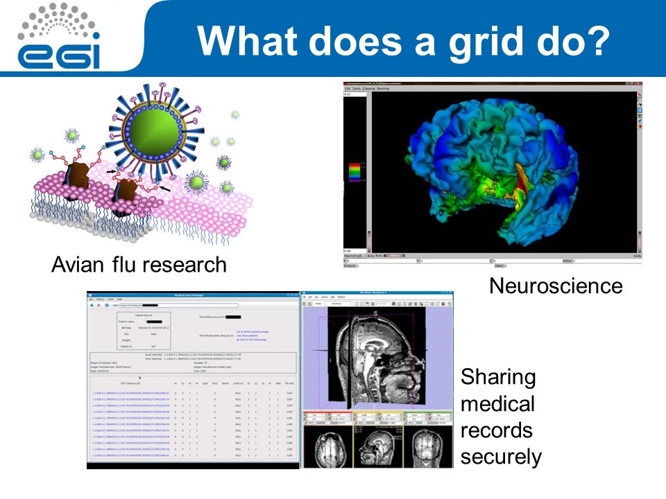 What does a grid do Avian flu research Neuroscience Sharing medical records securely