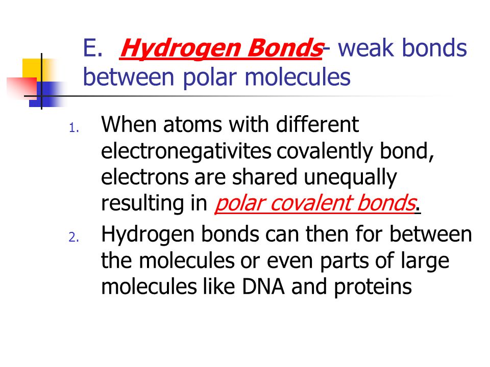 E. Hydrogen Bonds- weak bonds between polar moleculesHydrogen Bonds 1.