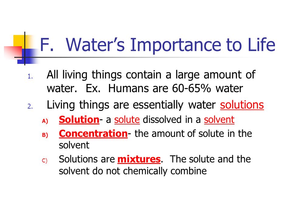 F. Water’s Importance to Life 1. All living things contain a large amount of water.
