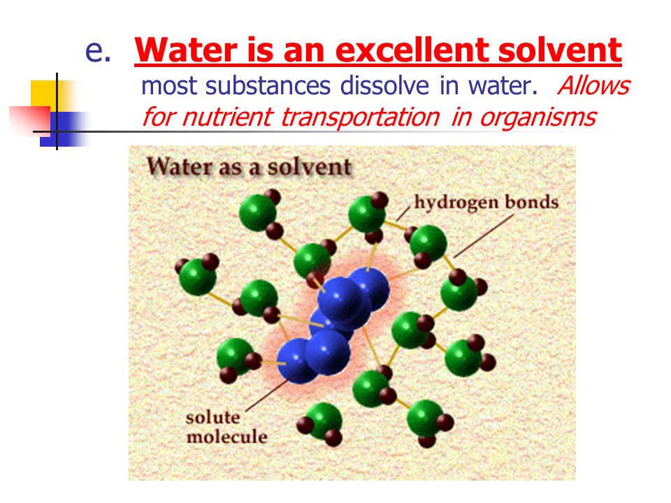 e. Water is an excellent solvent most substances dissolve in water.