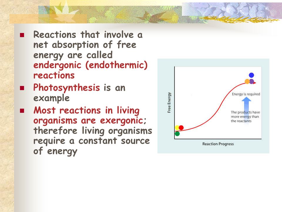 Reactions that involve a net absorption of free energy are called endergonic (endothermic) reactions Photosynthesis is an example Most reactions in living organisms are exergonic; therefore living organisms require a constant source of energy