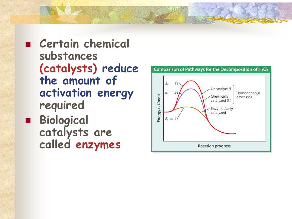 Certain chemical substances (catalysts) reduce the amount of activation energy required Biological catalysts are called enzymes