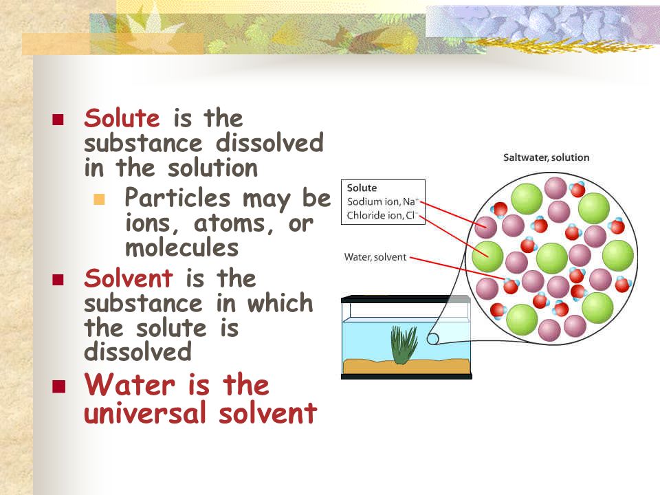 Solute is the substance dissolved in the solution Particles may be ions, atoms, or molecules Solvent is the substance in which the solute is dissolved Water is the universal solvent