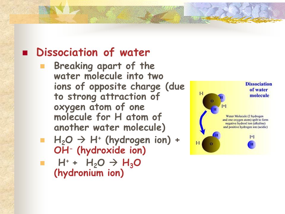 Dissociation of water Breaking apart of the water molecule into two ions of opposite charge (due to strong attraction of oxygen atom of one molecule for H atom of another water molecule) H 2 O  H + (hydrogen ion) + OH - (hydroxide ion) H + + H 2 O  H 3 O (hydronium ion)