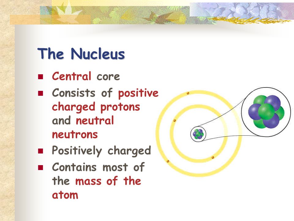 The Nucleus Central core Consists of positive charged protons and neutral neutrons Positively charged Contains most of the mass of the atom