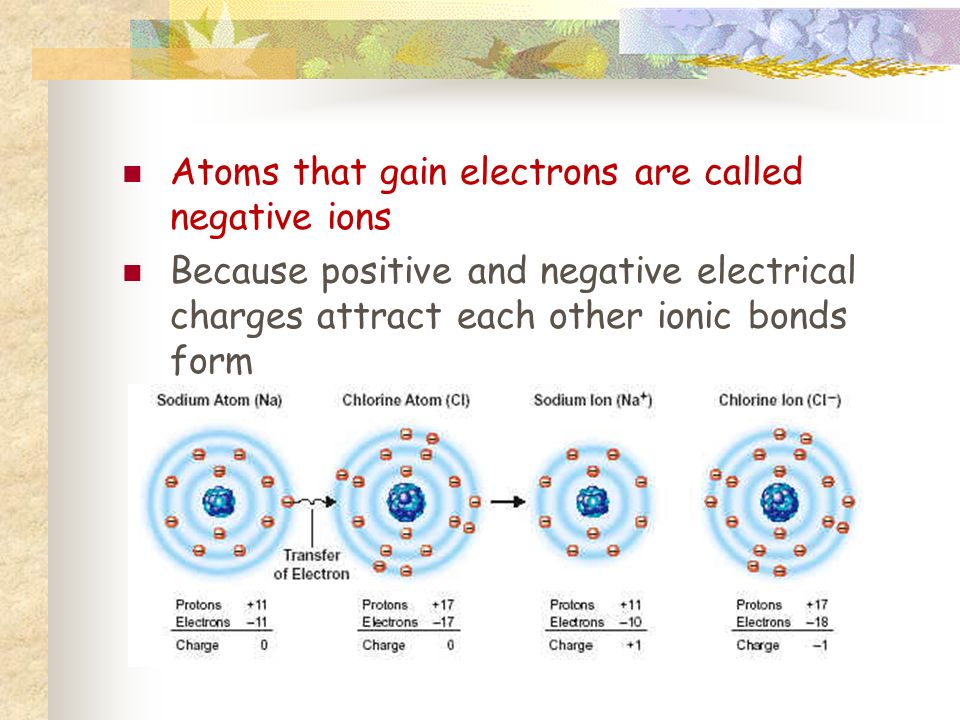 Atoms that gain electrons are called negative ions Because positive and negative electrical charges attract each other ionic bonds form