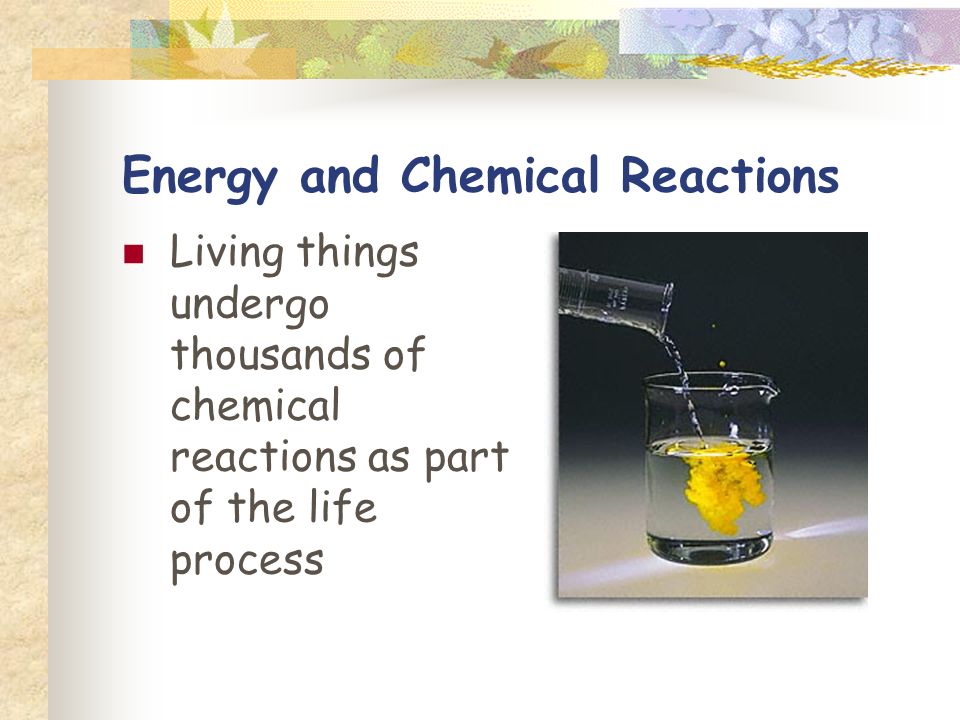 Energy and Chemical Reactions Living things undergo thousands of chemical reactions as part of the life process