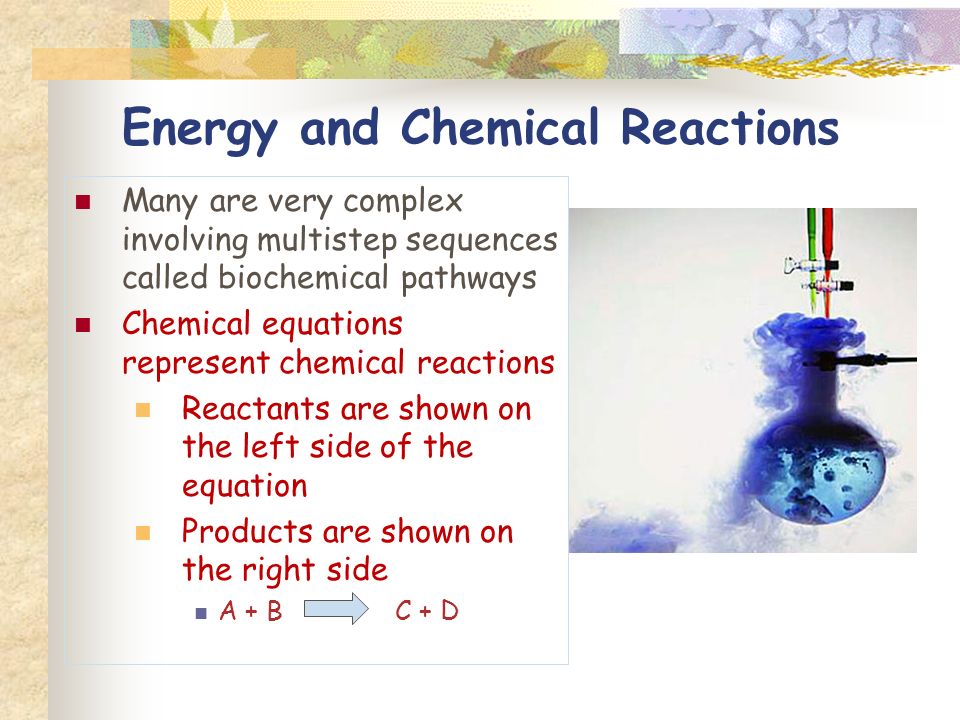 Many are very complex involving multistep sequences called biochemical pathways Chemical equations represent chemical reactions Reactants are shown on the left side of the equation Products are shown on the right side A + B C + D Energy and Chemical Reactions
