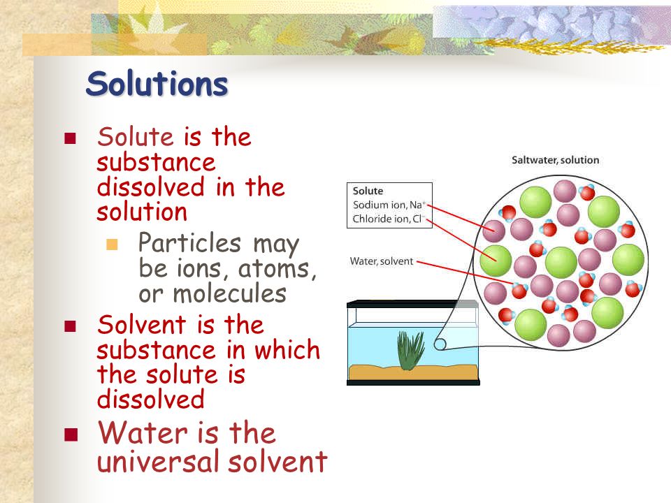 Solute is the substance dissolved in the solution Particles may be ions, atoms, or molecules Solvent is the substance in which the solute is dissolved Water is the universal solvent Solutions