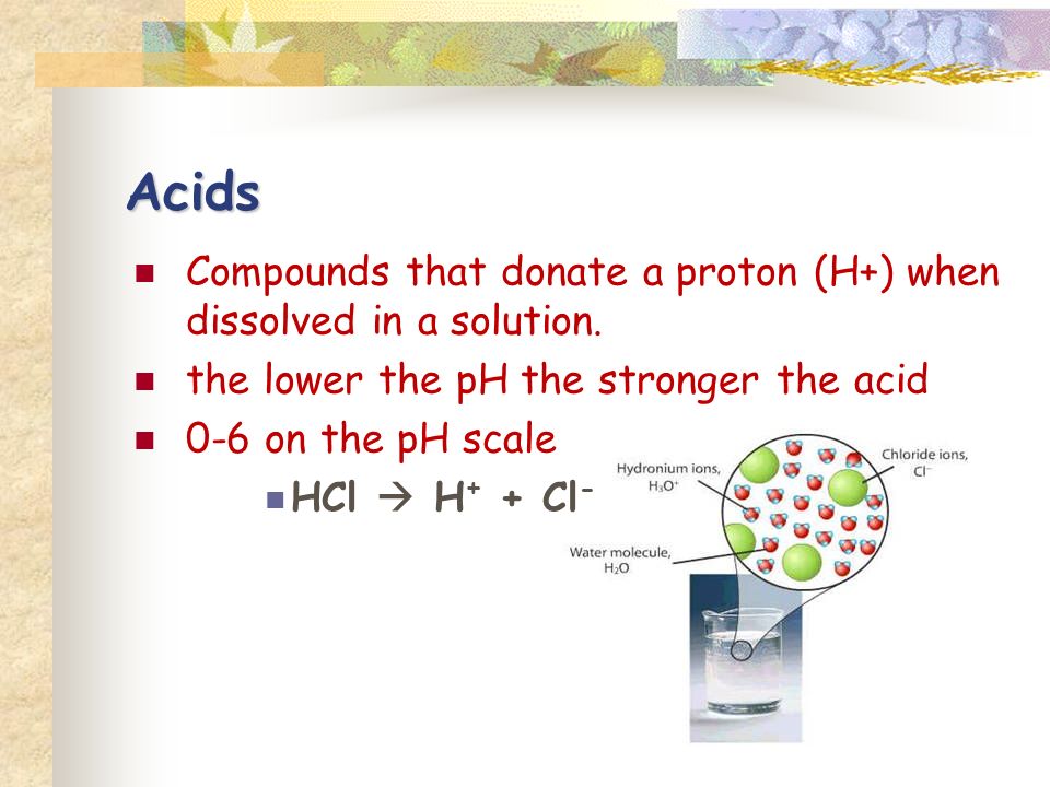 Acids Compounds that donate a proton (H+) when dissolved in a solution.