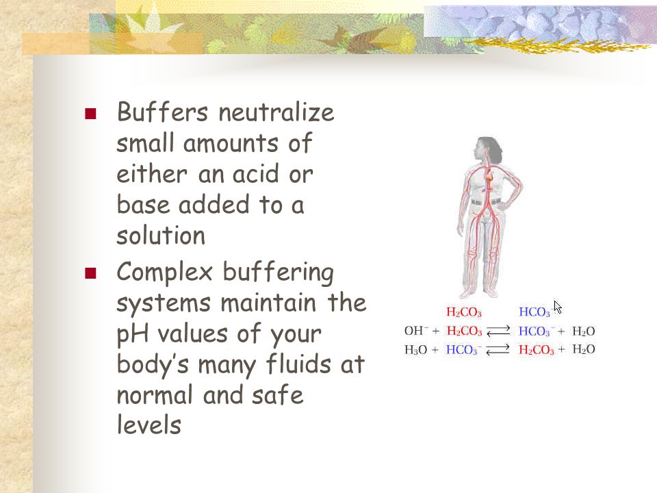 Buffers neutralize small amounts of either an acid or base added to a solution Complex buffering systems maintain the pH values of your body’s many fluids at normal and safe levels