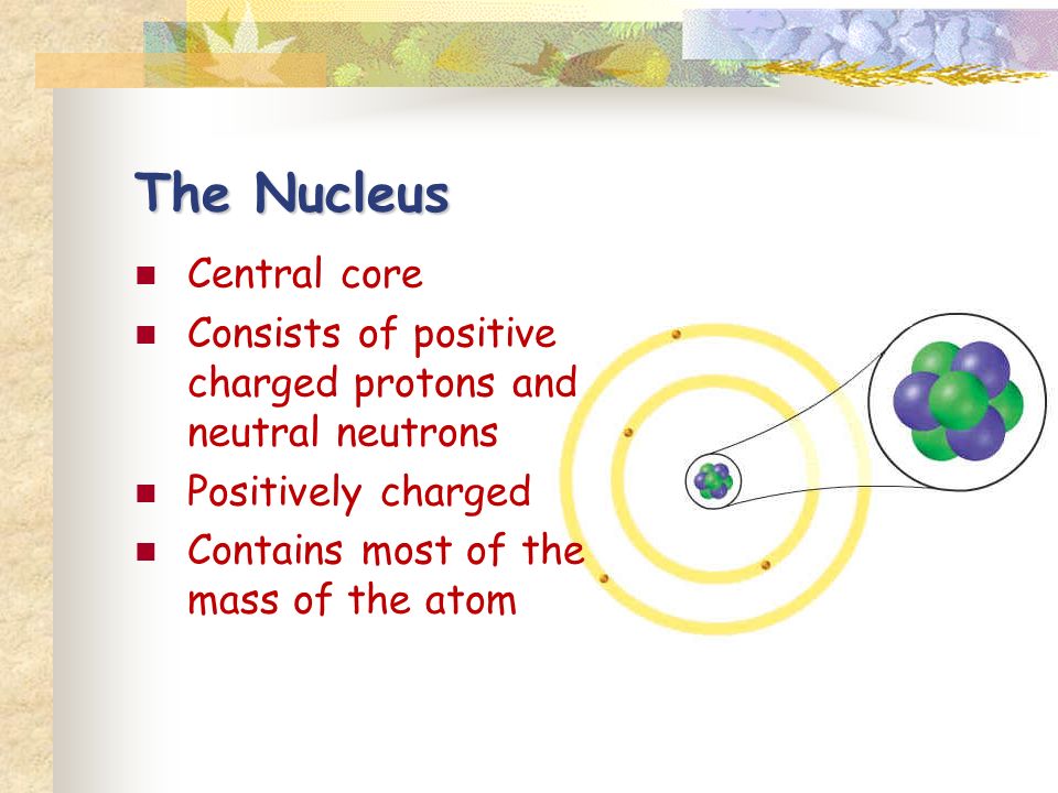 The Nucleus Central core Consists of positive charged protons and neutral neutrons Positively charged Contains most of the mass of the atom