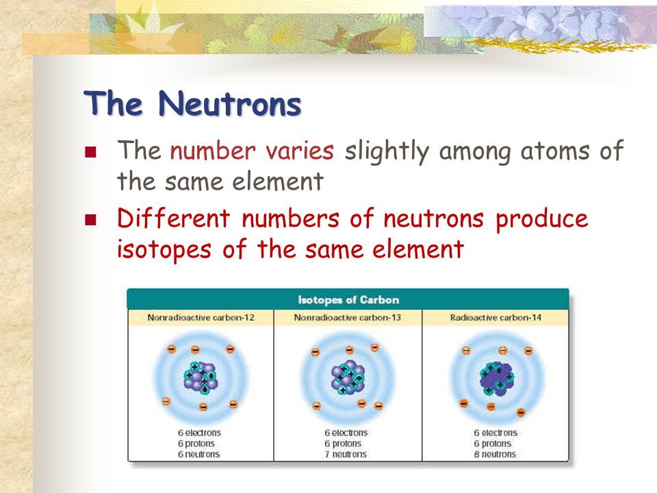The Neutrons The number varies slightly among atoms of the same element Different numbers of neutrons produce isotopes of the same element