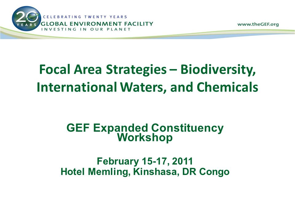 Focal Area Strategies – Biodiversity, International Waters, and Chemicals GEF Expanded Constituency Workshop February 15-17, 2011 Hotel Memling, Kinshasa, DR Congo