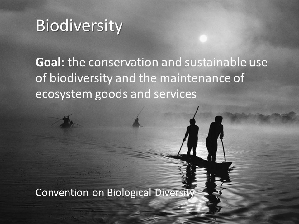 Biodiversity Goal: the conservation and sustainable use of biodiversity and the maintenance of ecosystem goods and services Convention on Biological Diversity