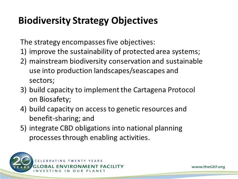 Biodiversity Strategy Objectives The strategy encompasses five objectives: 1)improve the sustainability of protected area systems; 2)mainstream biodiversity conservation and sustainable use into production landscapes/seascapes and sectors; 3)build capacity to implement the Cartagena Protocol on Biosafety; 4)build capacity on access to genetic resources and benefit-sharing; and 5)integrate CBD obligations into national planning processes through enabling activities.