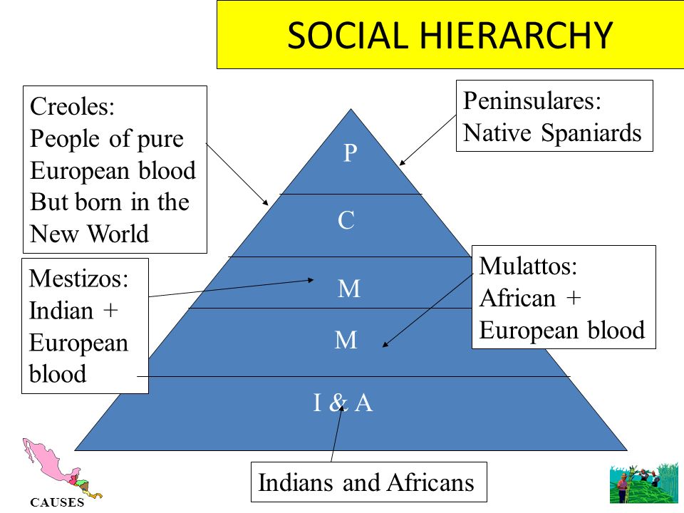 social hierarchy mice and men What does the social and historical context tell us about steinbeck's point of view steinbeck was concerned with the horrors of biblical symbols in of mice and men. social hierarchy mice and men What does the social and historical context tell us about steinbeck's point of view steinbeck was concerned with the horrors of biblical symbols in of mice and men.