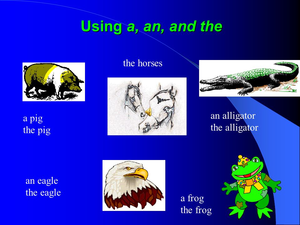 3)Use the before all singular nouns and plural nouns.