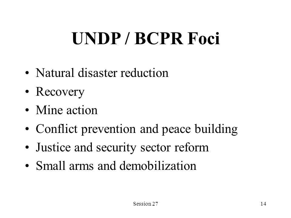 UNDP / BCPR Foci Natural disaster reduction Recovery Mine action Conflict prevention and peace building Justice and security sector reform Small arms and demobilization Session 2714