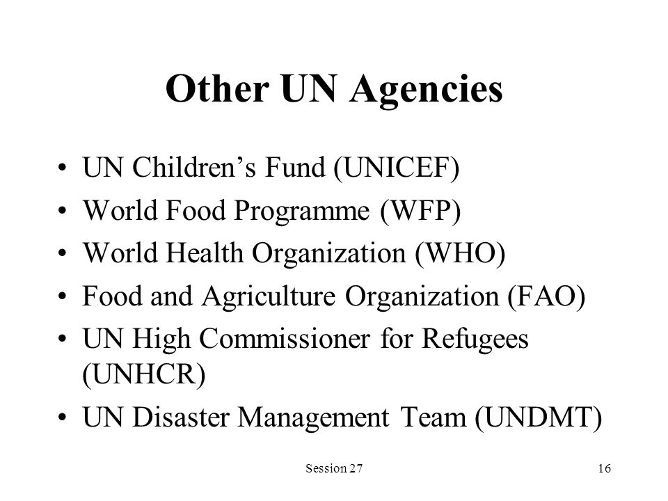 Other UN Agencies UN Children’s Fund (UNICEF) World Food Programme (WFP) World Health Organization (WHO) Food and Agriculture Organization (FAO) UN High Commissioner for Refugees (UNHCR) UN Disaster Management Team (UNDMT) Session 2716