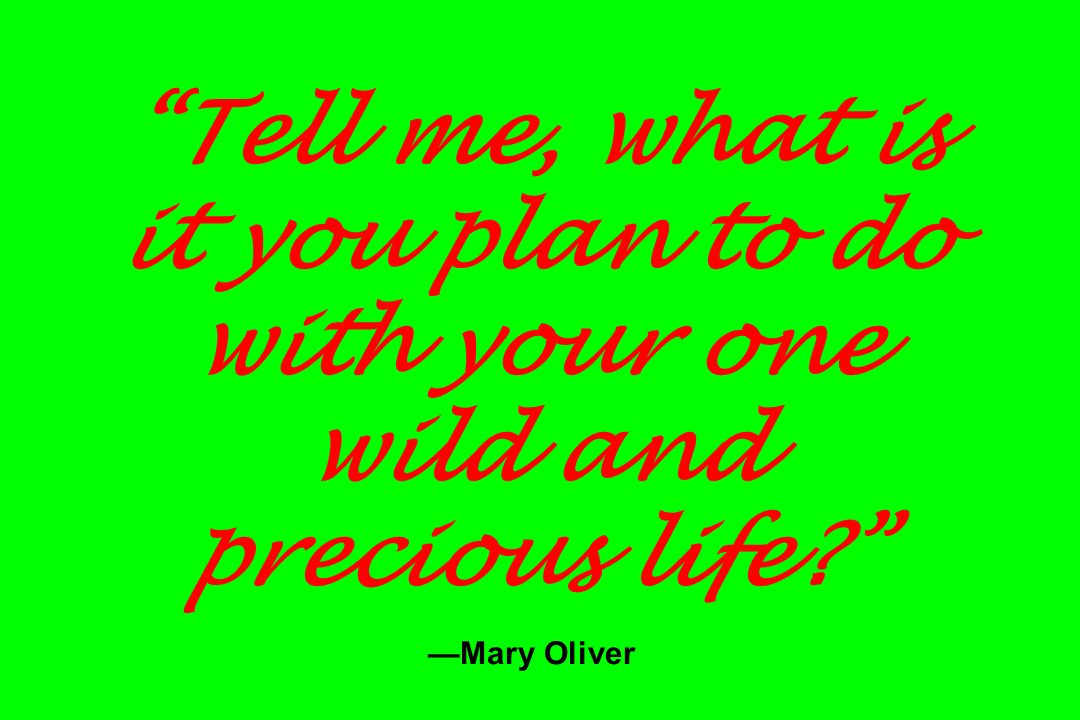 Tell me, what is it you plan to do with your one wild and precious life —Mary Oliver