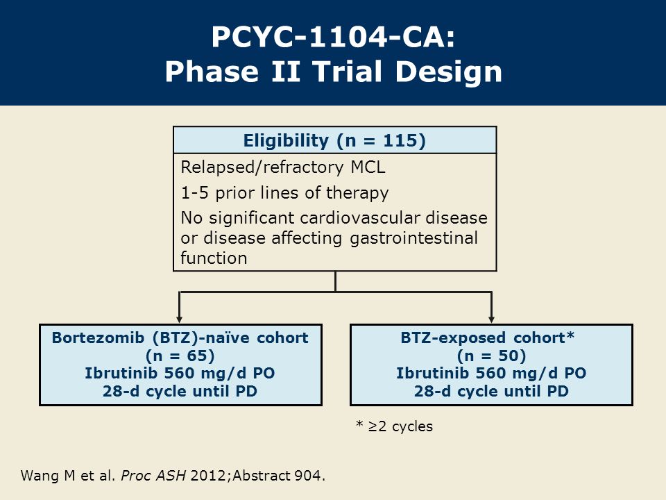 Eligibility (n = 115) Relapsed/refractory MCL 1-5 prior lines of therapy No significant cardiovascular disease or disease affecting gastrointestinal function PCYC-1104-CA: Phase II Trial Design Wang M et al.