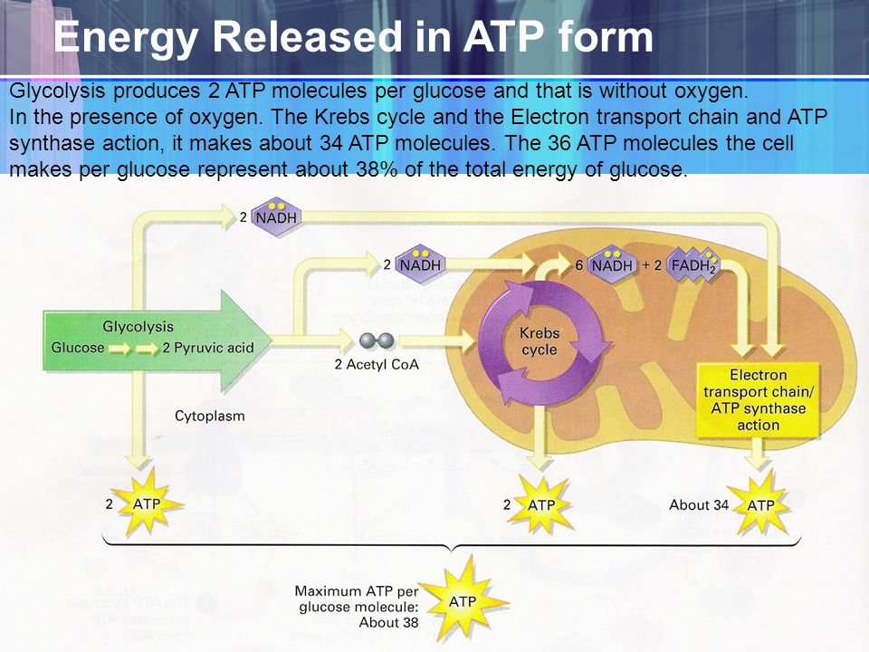 all about atp all about atp