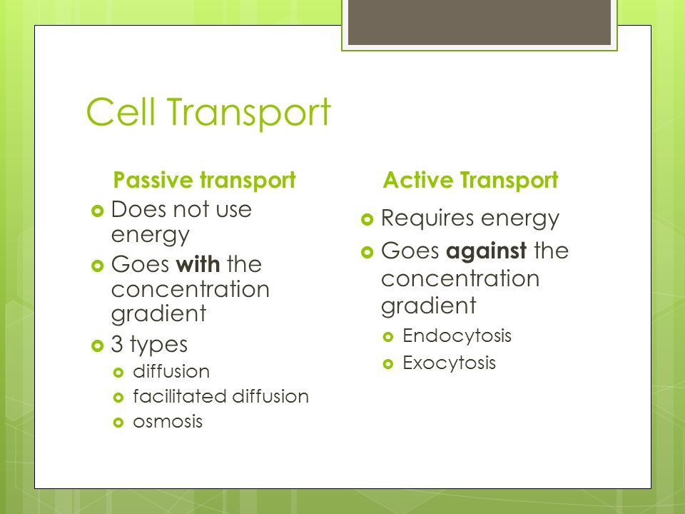 what did robert hooke call the boxes that he observed in cork ppt venn diagram active and passive transport