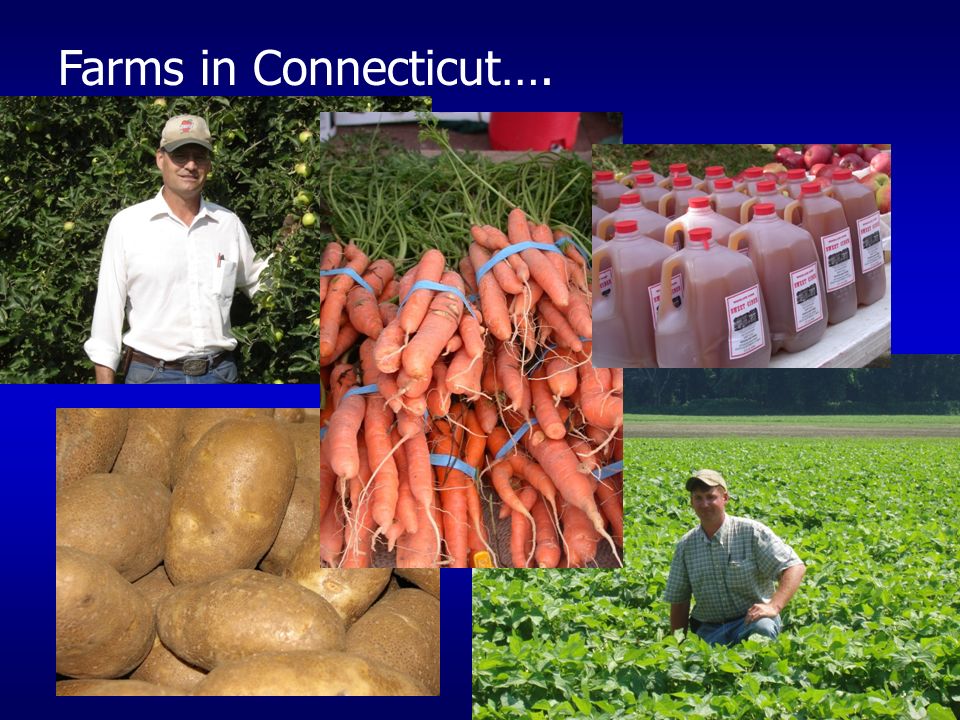 Connecticut Department of Agriculture Farm-To School Program