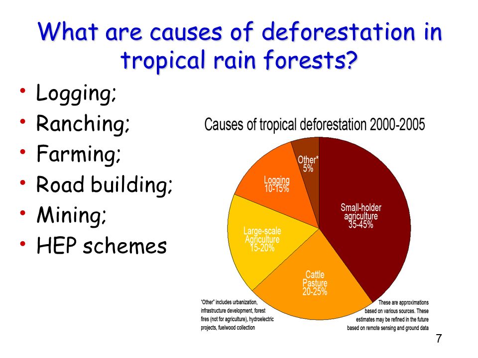 an overview of the causes and effects of deforestation This section looks at a deforestation definition, causes of deforestation, effects of in summary, a warming climate will have positive and negative impacts. an overview of the causes and effects of deforestation This section looks at a deforestation definition, causes of deforestation, effects of in summary, a warming climate will have positive and negative impacts.