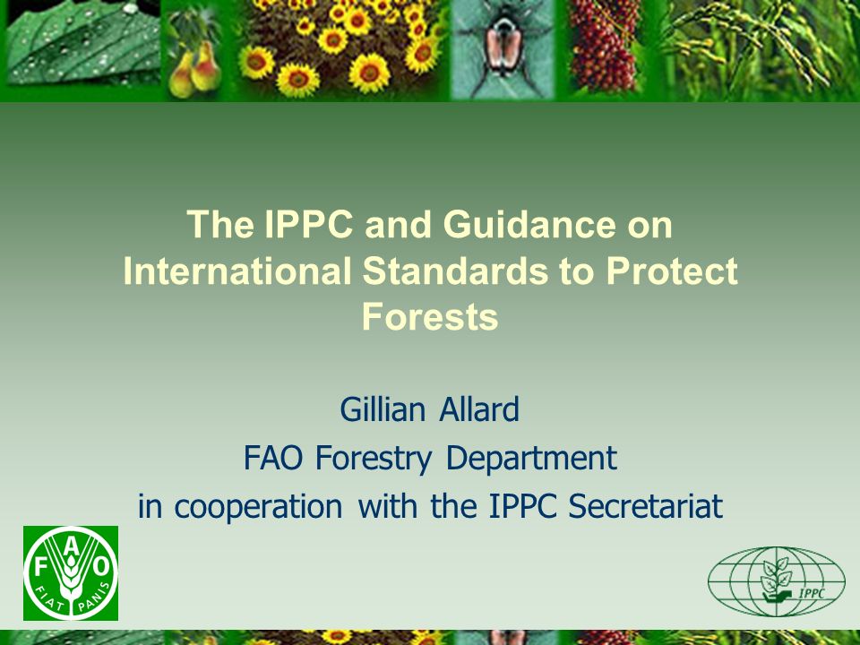 The IPPC and Guidance on International Standards to Protect Forests Gillian Allard FAO Forestry Department in cooperation with the IPPC Secretariat