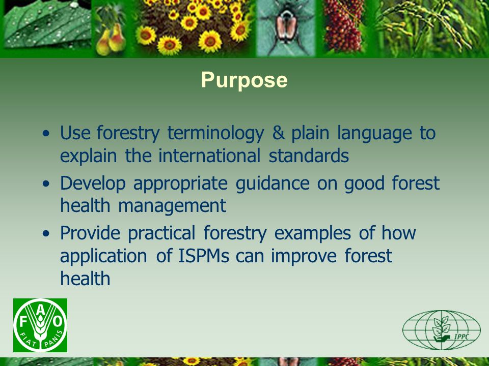 Purpose Use forestry terminology & plain language to explain the international standards Develop appropriate guidance on good forest health management Provide practical forestry examples of how application of ISPMs can improve forest health