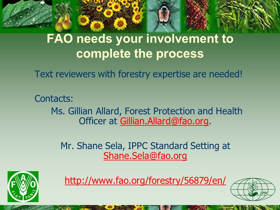 FAO needs your involvement to complete the process Text reviewers with forestry expertise are needed.