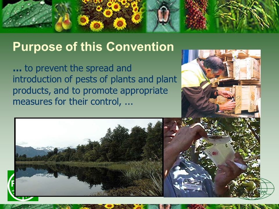 Purpose of this Convention … to prevent the spread and introduction of pests of plants and plant products, and to promote appropriate measures for their control,...