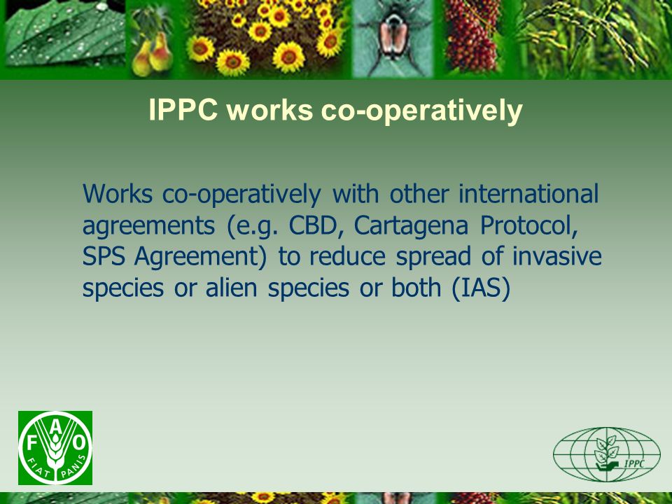 IPPC works co-operatively Works co-operatively with other international agreements (e.g.