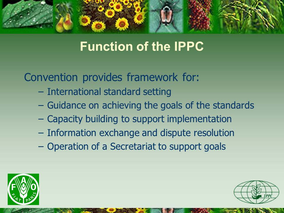 Function of the IPPC Convention provides framework for: –International standard setting –Guidance on achieving the goals of the standards –Capacity building to support implementation –Information exchange and dispute resolution –Operation of a Secretariat to support goals