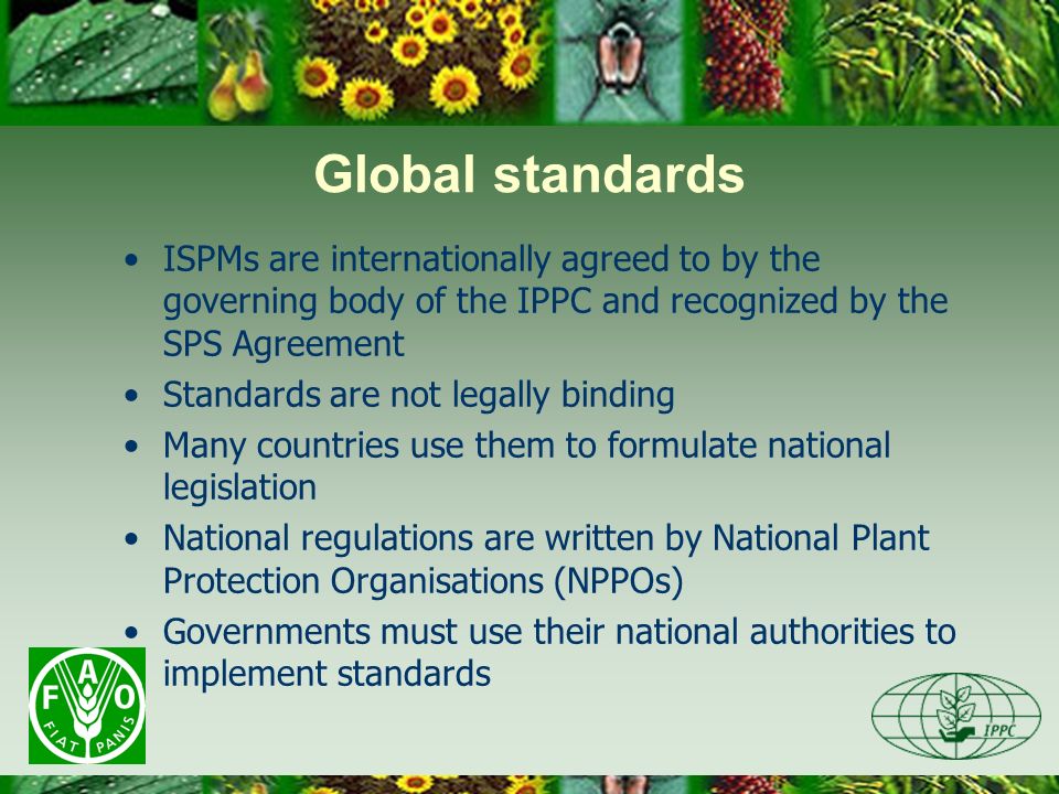 Global standards ISPMs are internationally agreed to by the governing body of the IPPC and recognized by the SPS Agreement Standards are not legally binding Many countries use them to formulate national legislation National regulations are written by National Plant Protection Organisations (NPPOs) Governments must use their national authorities to implement standards