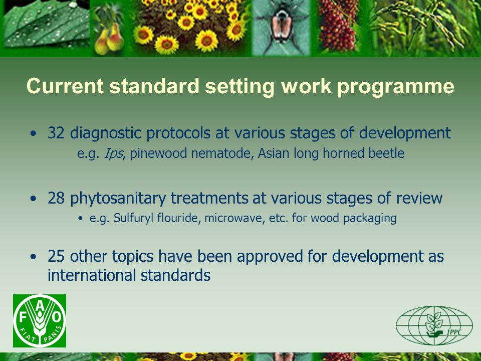 Current standard setting work programme 32 diagnostic protocols at various stages of development e.g.