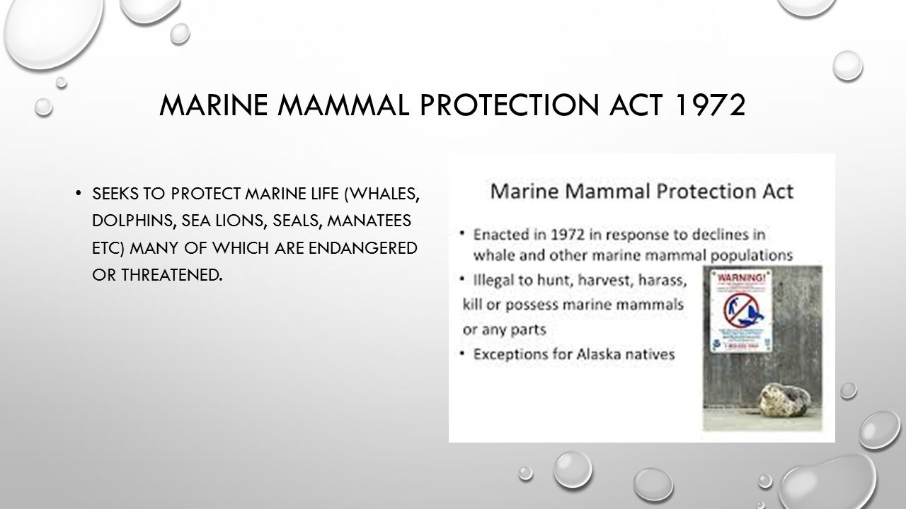 MARINE MAMMAL PROTECTION ACT 1972 SEEKS TO PROTECT MARINE LIFE (WHALES, DOLPHINS, SEA LIONS, SEALS, MANATEES ETC) MANY OF WHICH ARE ENDANGERED OR THREATENED.