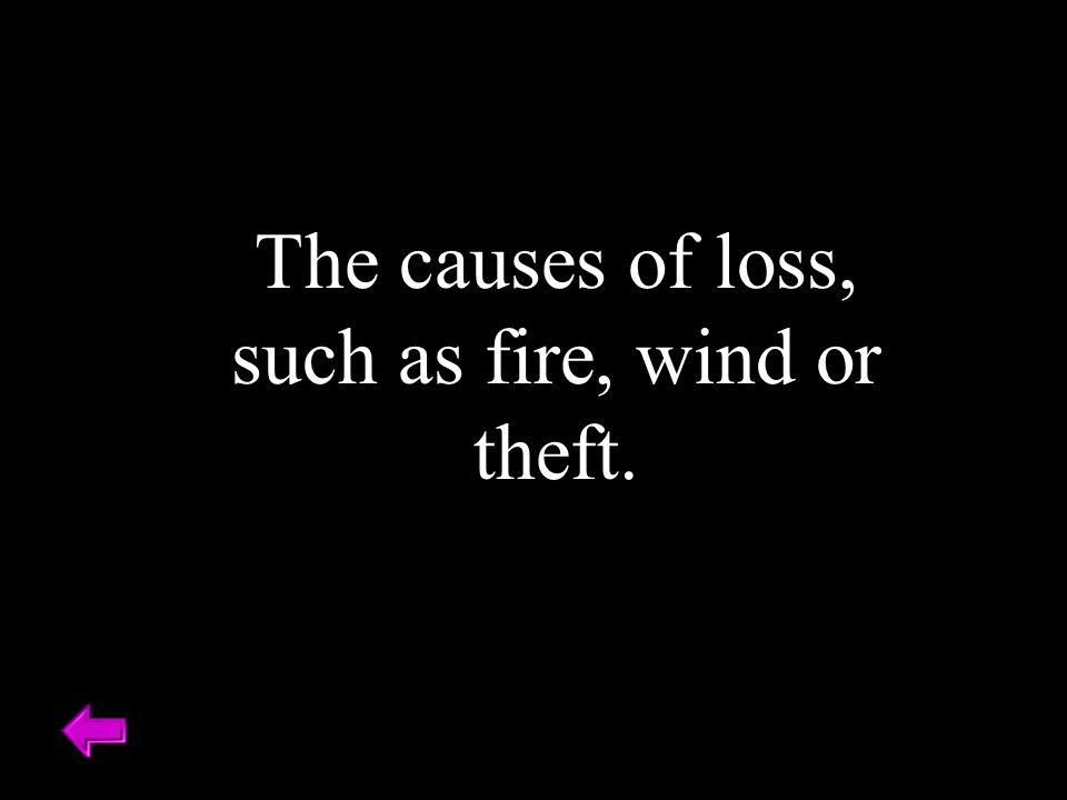 The causes of loss, such as fire, wind or theft.