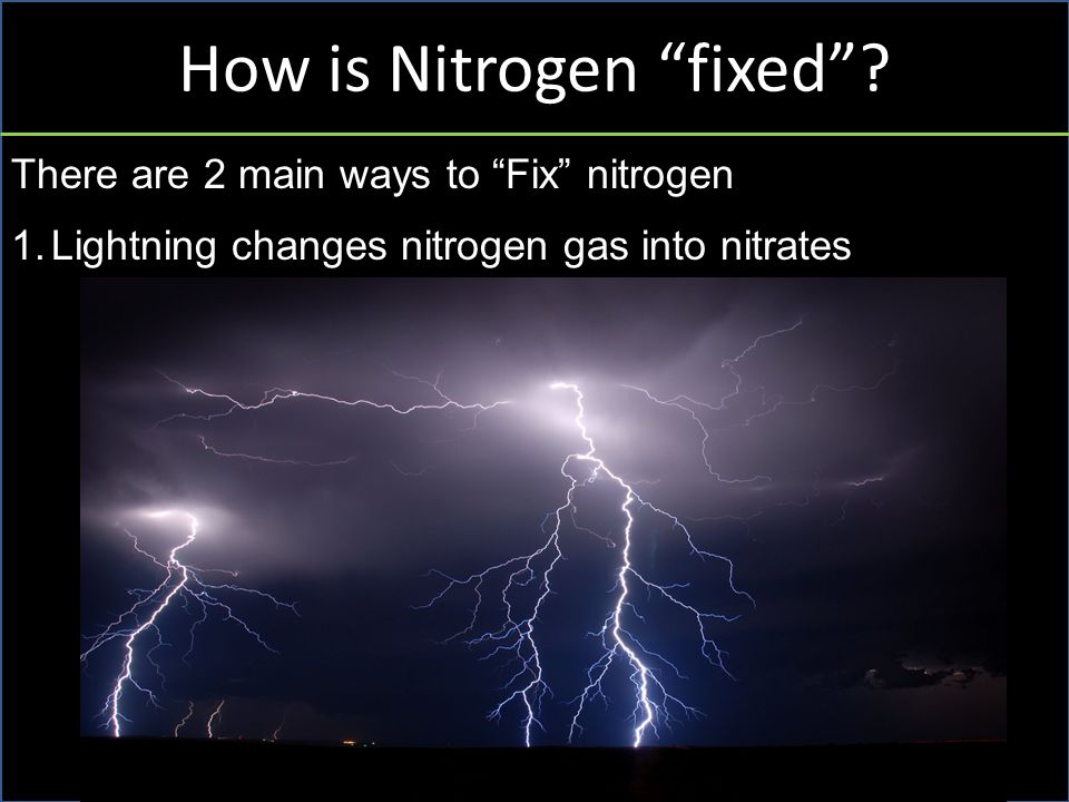 How is Nitrogen fixed .