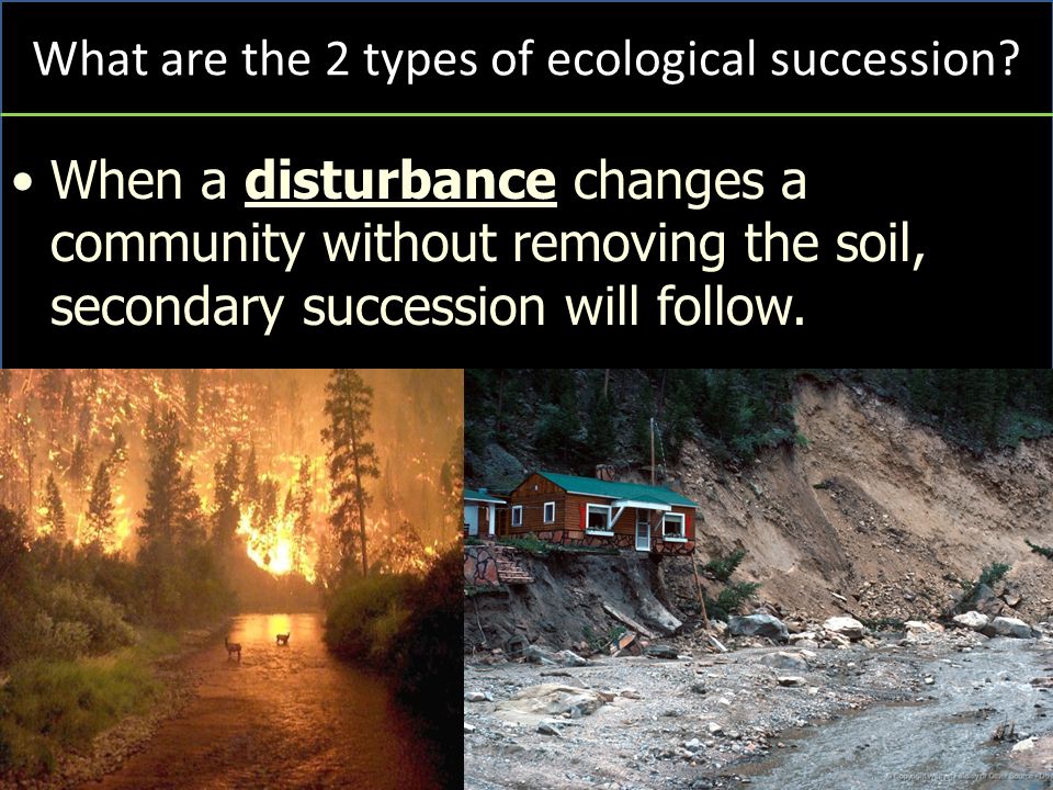 When a disturbance changes a community without removing the soil, secondary succession will follow.