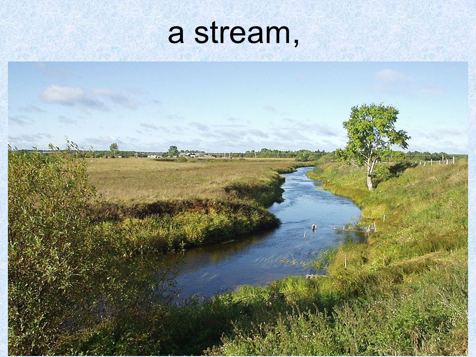 a stream,