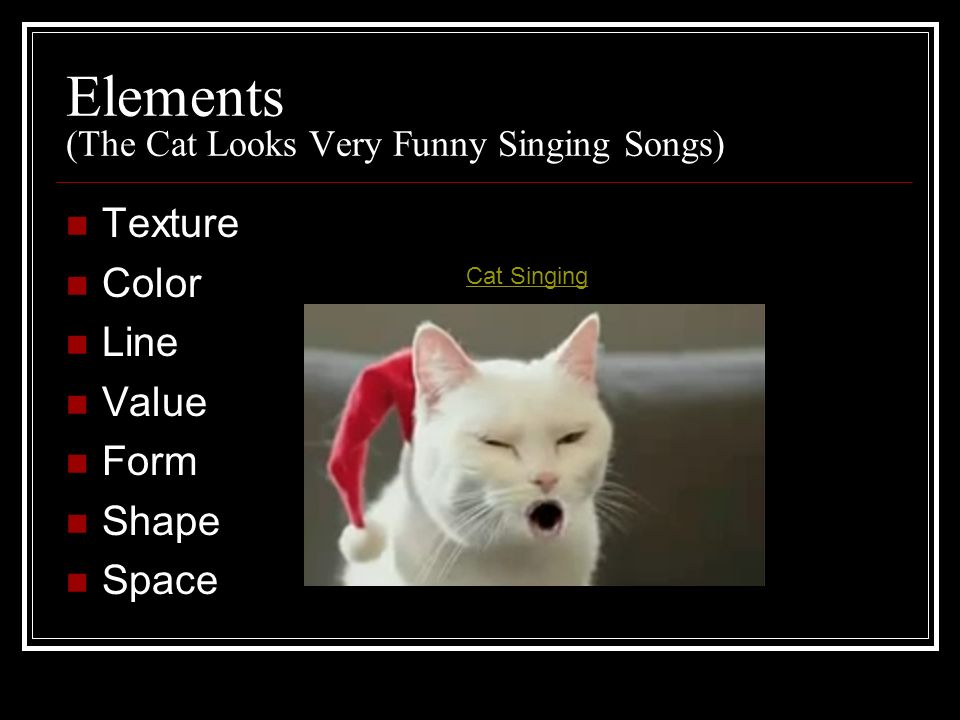 Elements (The Cat Looks Very Funny Singing Songs) Texture Color Line Value Form Shape Space Cat Singing