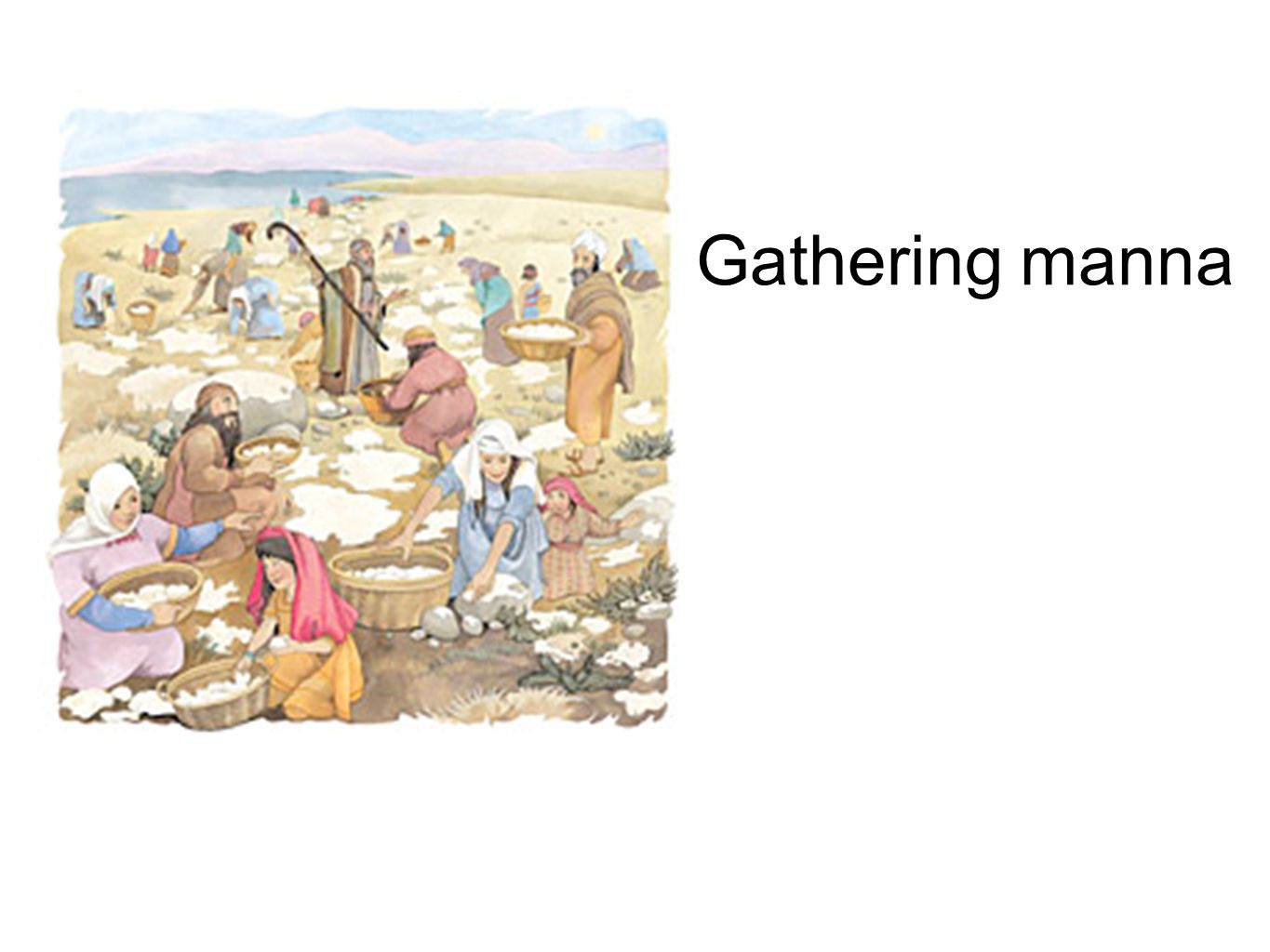 Gathering manna