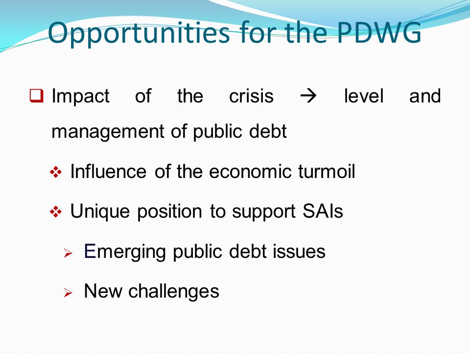 Opportunities for the PDWG  Impact of the crisis  level and management of public debt  Influence of the economic turmoil  Unique position to support SAIs  Emerging public debt issues  New challenges
