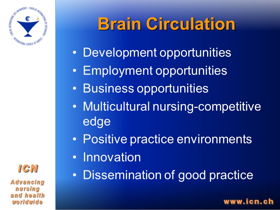 Brain Circulation Development opportunities Employment opportunities Business opportunities Multicultural nursing-competitive edge Positive practice environments Innovation Dissemination of good practice