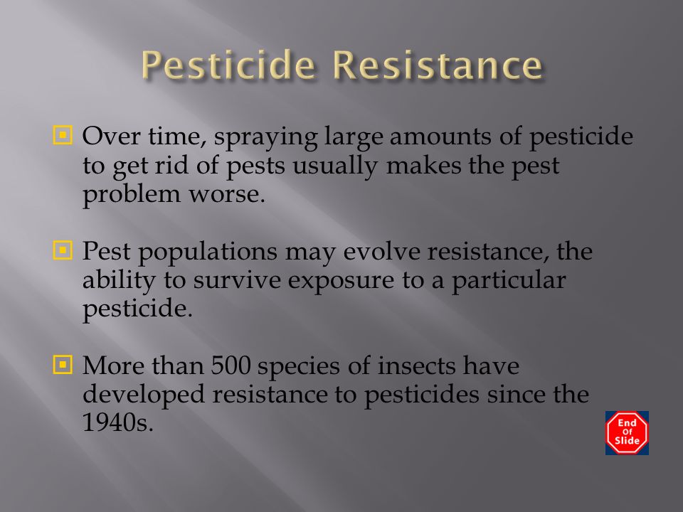  Over time, spraying large amounts of pesticide to get rid of pests usually makes the pest problem worse.