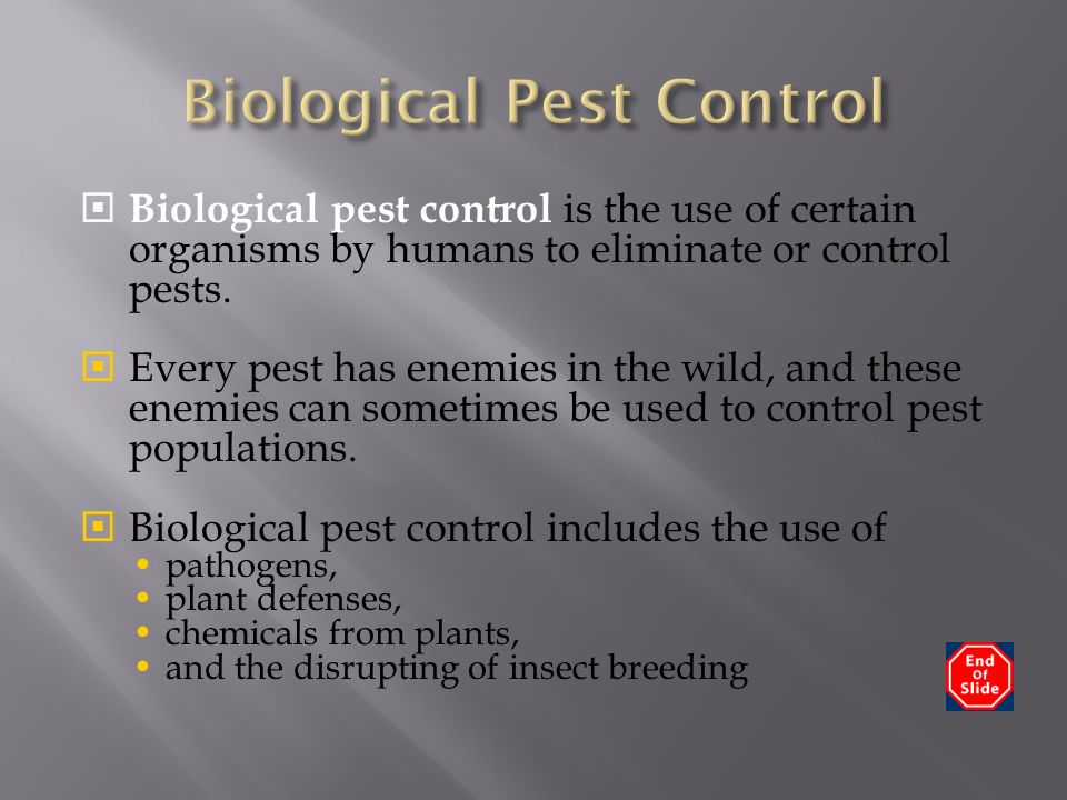  Biological pest control is the use of certain organisms by humans to eliminate or control pests.